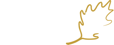 Gutter RX